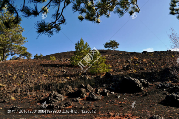 西西里島的埃特納火山；