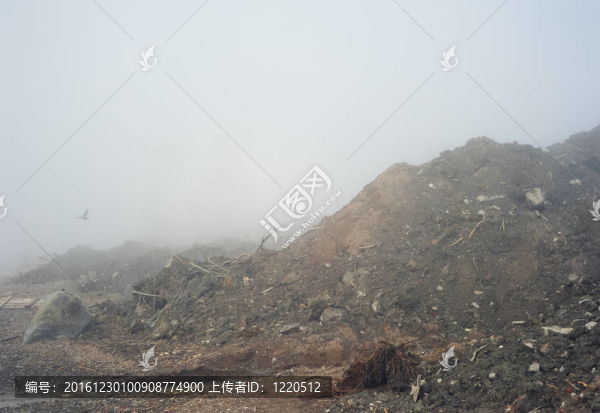 景觀有霧