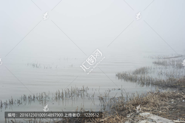 景觀有霧
