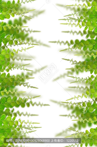 背景綠葉
