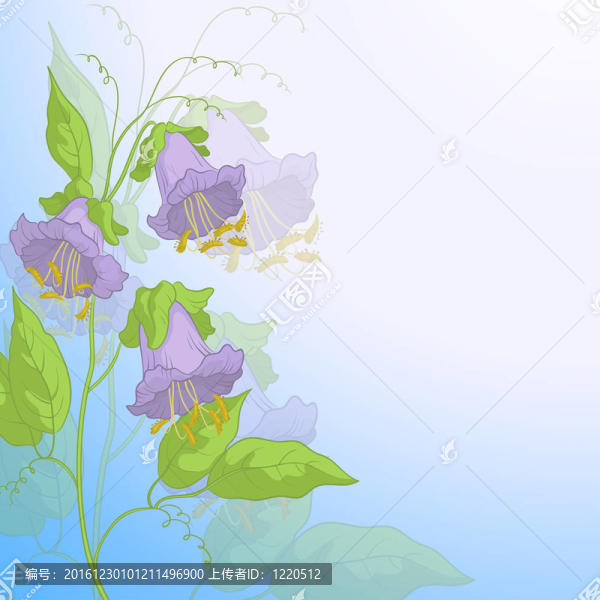 Flowers,kobe與藍(lán)天