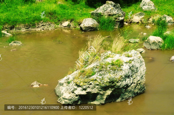 污水污染河道。