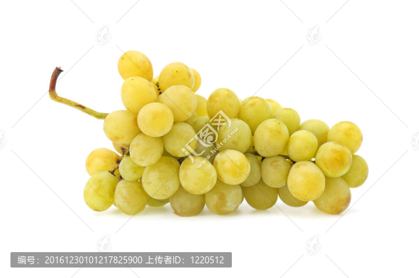 葡萄