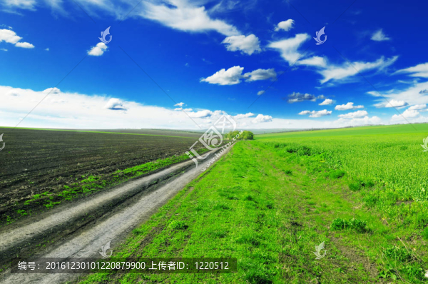 場(chǎng)道路