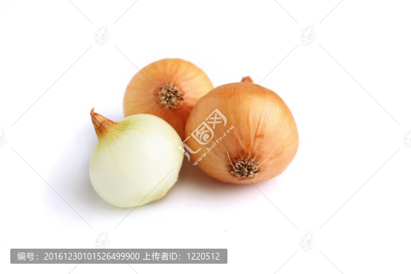 干洋蔥