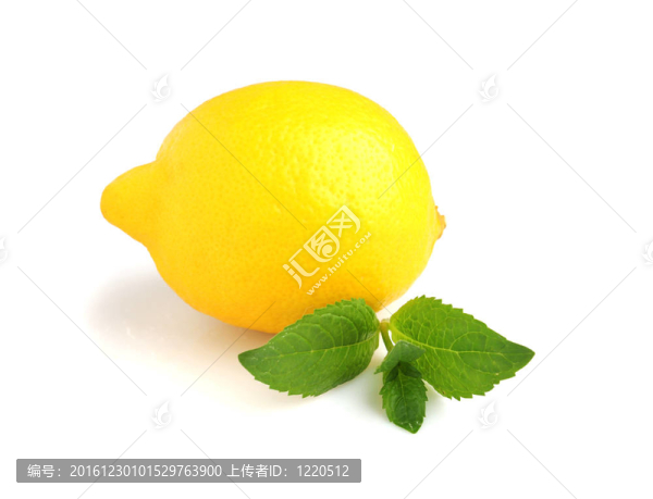 檸檬薄荷