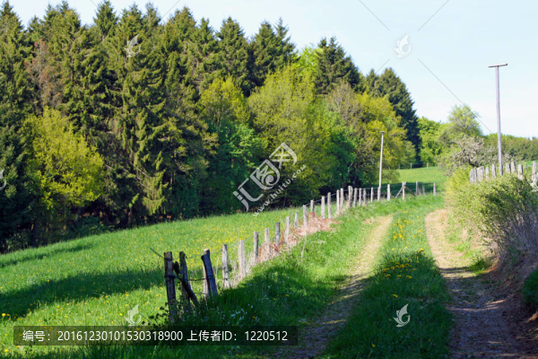 鄉(xiāng)村路