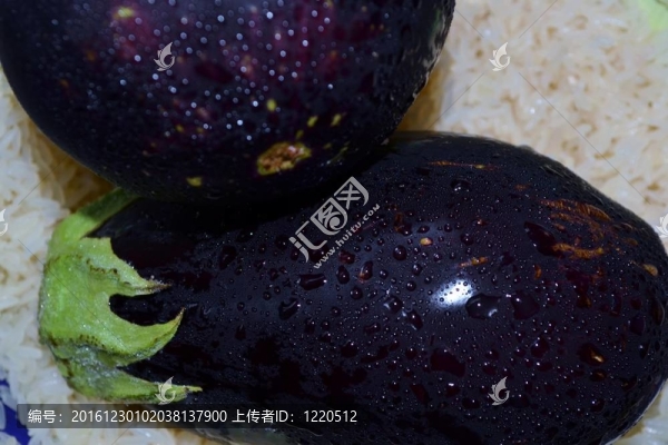 新鮮的茄子