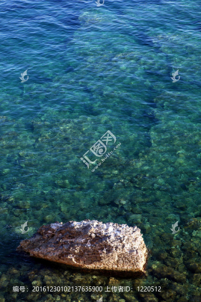海