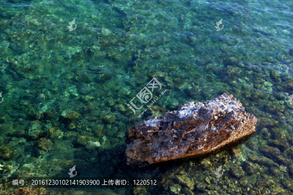 海