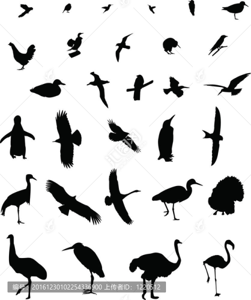 鳥集