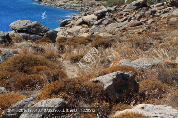 米科諾斯島沿岸；希臘。