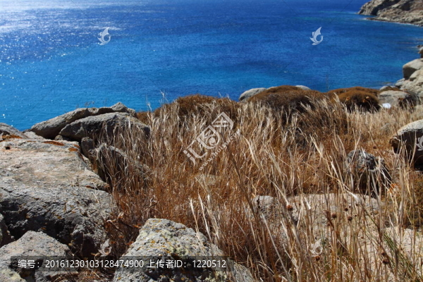米科諾斯島沿岸；希臘。