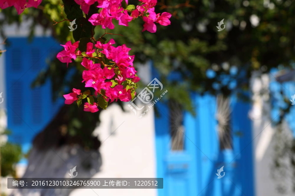 米科諾斯島傳統(tǒng)的基克拉迪建筑。（希臘；Cyclades）