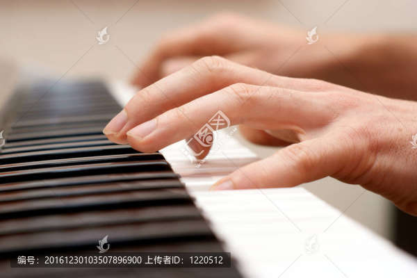 手鋼琴和鋼琴手