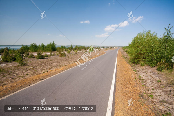 鋪平道路