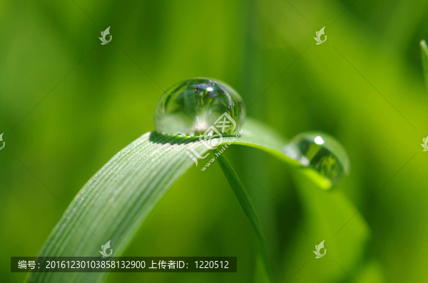 水滴