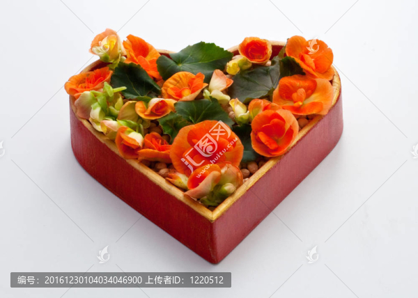 心的花