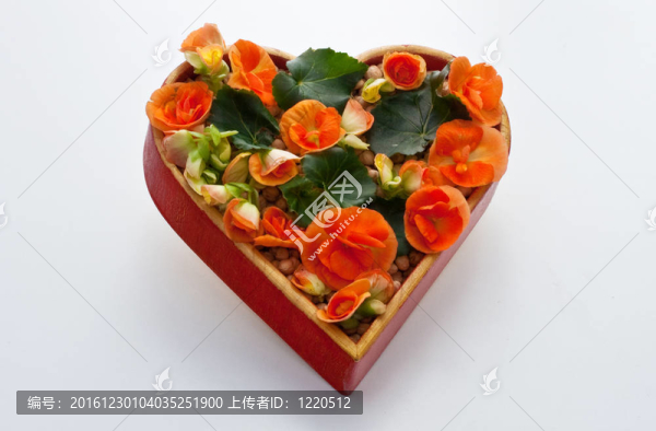 心的花