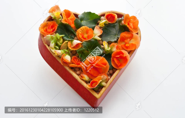 心的花