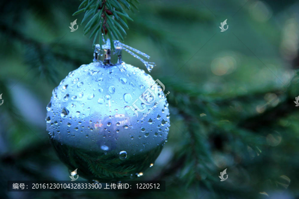 一個下雨的圣誕節(jié)
