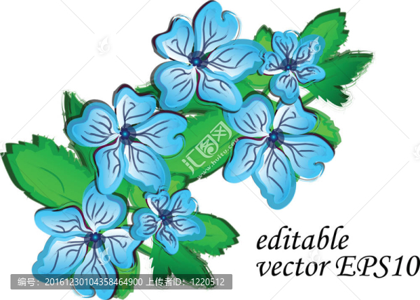 手繪花