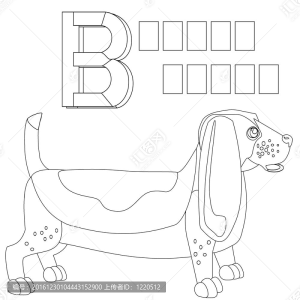 巴吉度獵犬；黑色和白色