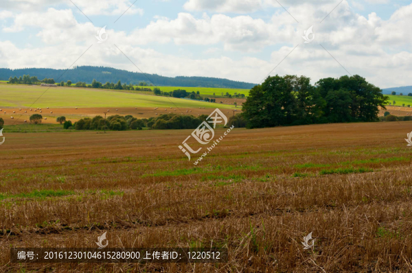 鄉(xiāng)村景觀