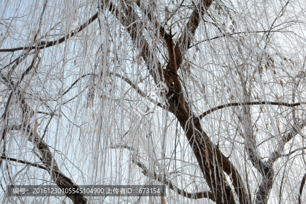 雪景