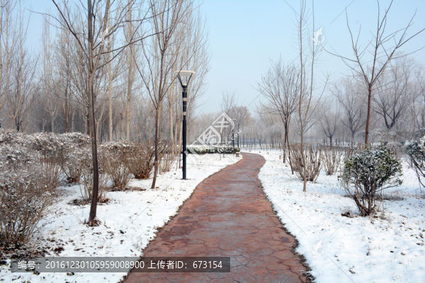 公園小路
