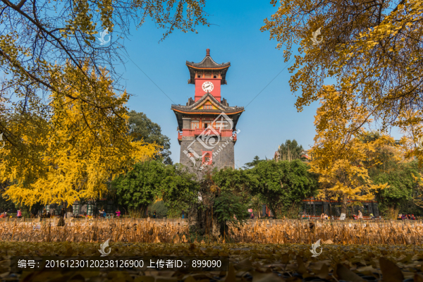 四川大學(xué)華西校區(qū)
