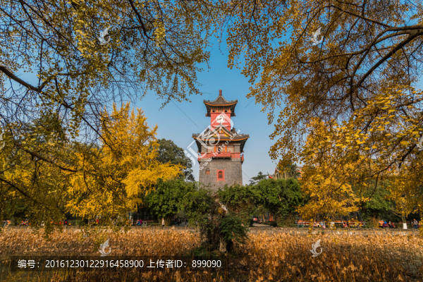 四川大學(xué)秋景