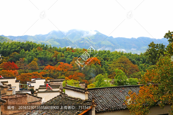 塔川山村民居
