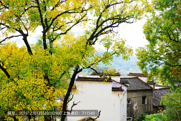 古樹山村,徽州民居