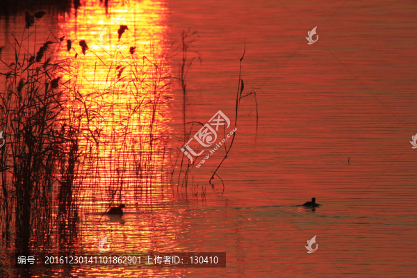 濕地黃昏