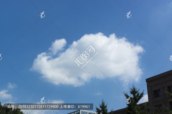 白兔云