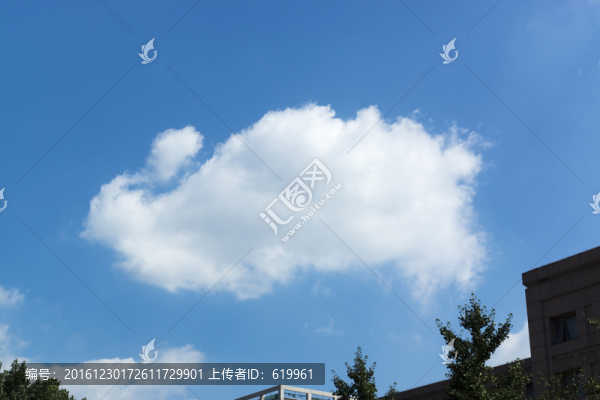 白兔云