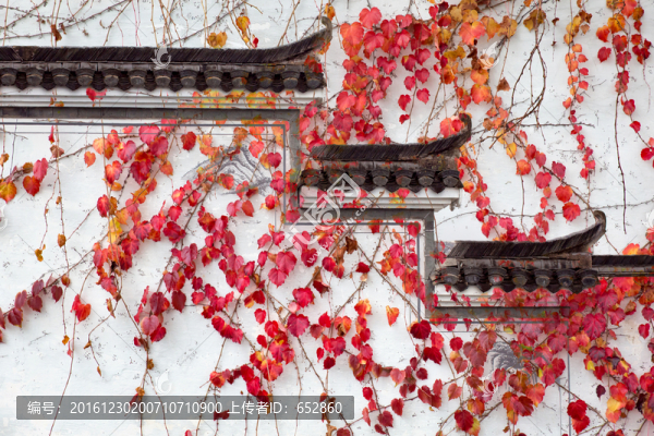 宏村,安徽,黃山,建筑,老宅