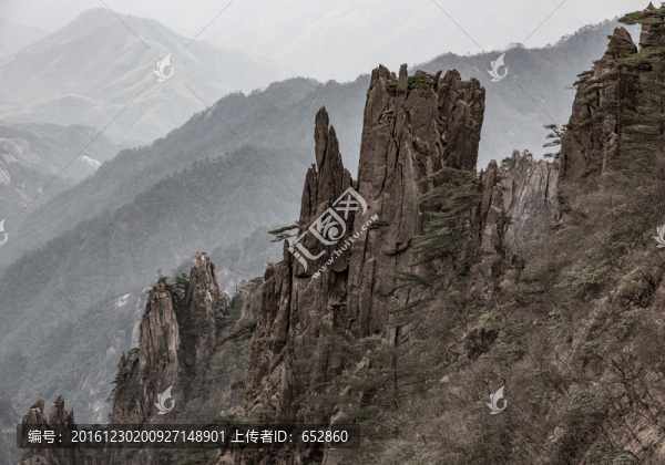 黃山,迎客松,安徽,風(fēng)景,旅游