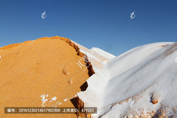 糧庫,糧食,烘干塔,糧倉,倉庫