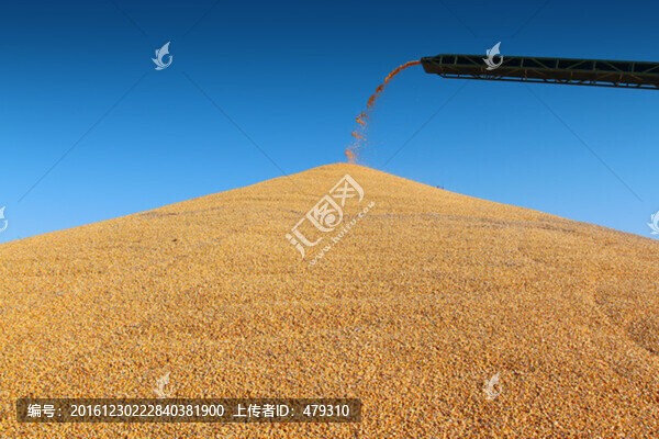 糧庫,糧食,烘干塔