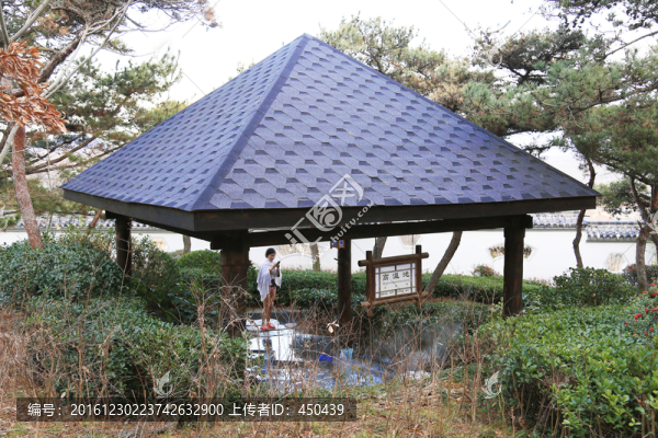 溫泉池