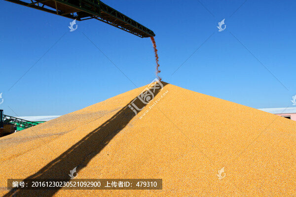 糧庫(kù),糧食,烘干塔,糧倉(cāng)