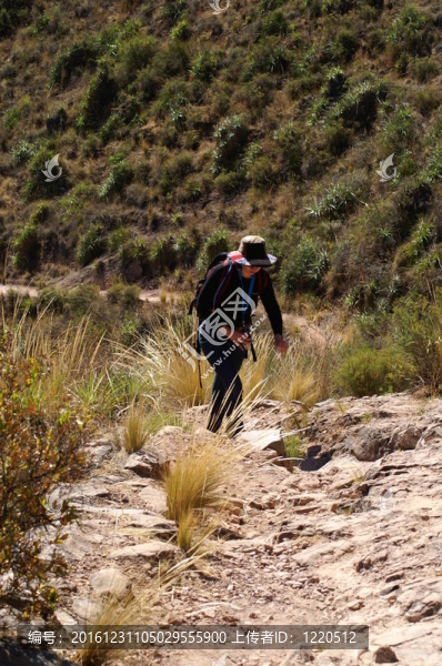 行走在Andes