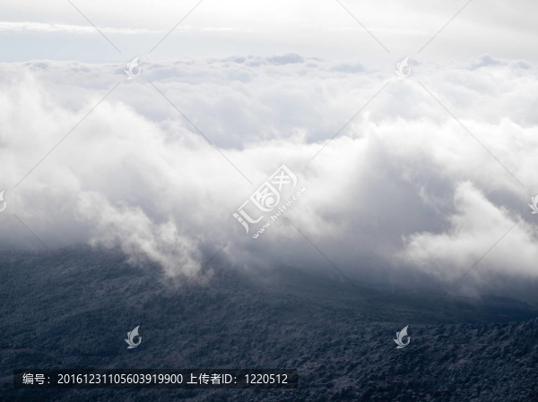 云景。
