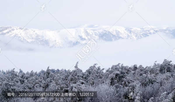 冬天的景色。