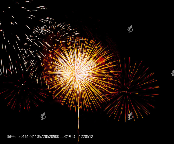 美麗的煙花在夜間