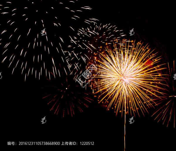 美麗的煙花在夜間