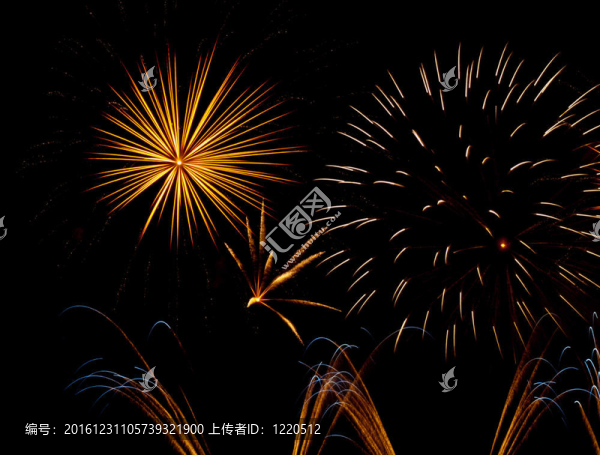美麗的煙花在夜間