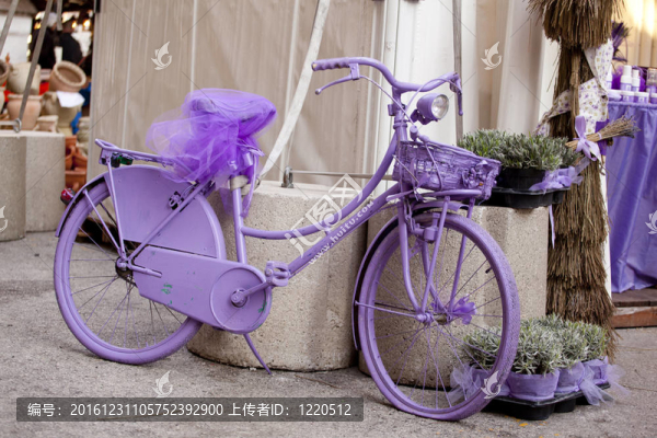 紫色的自行車